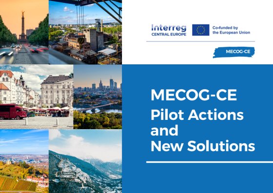 The MECOG-CE Project: How European Metropolises Strengthen Cooperation and Governance