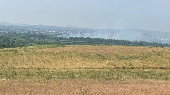 Чому горять торфовища? Проблема, яку неможливо вирішити лише пожежними машинами